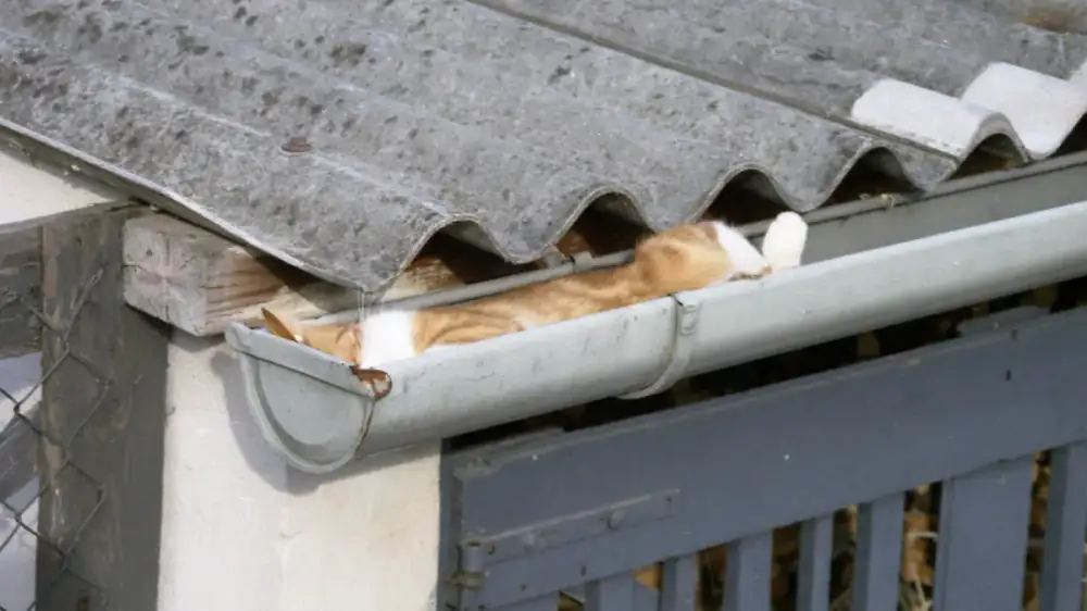 White aluminium seamless gutter along a roof edge against blue sky