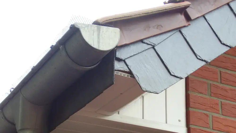 A home's full gutter run and downspout viewed from the ground for inspection