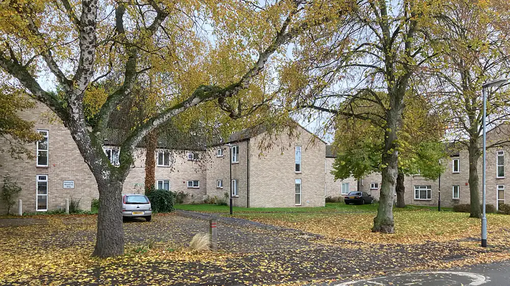 Fallen autumn leaves gathered along a home's roof edge and gutters
