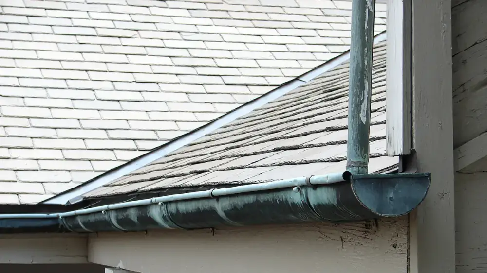 Homeowner inspecting a gutter with fallen leaves, questioning a common assumption