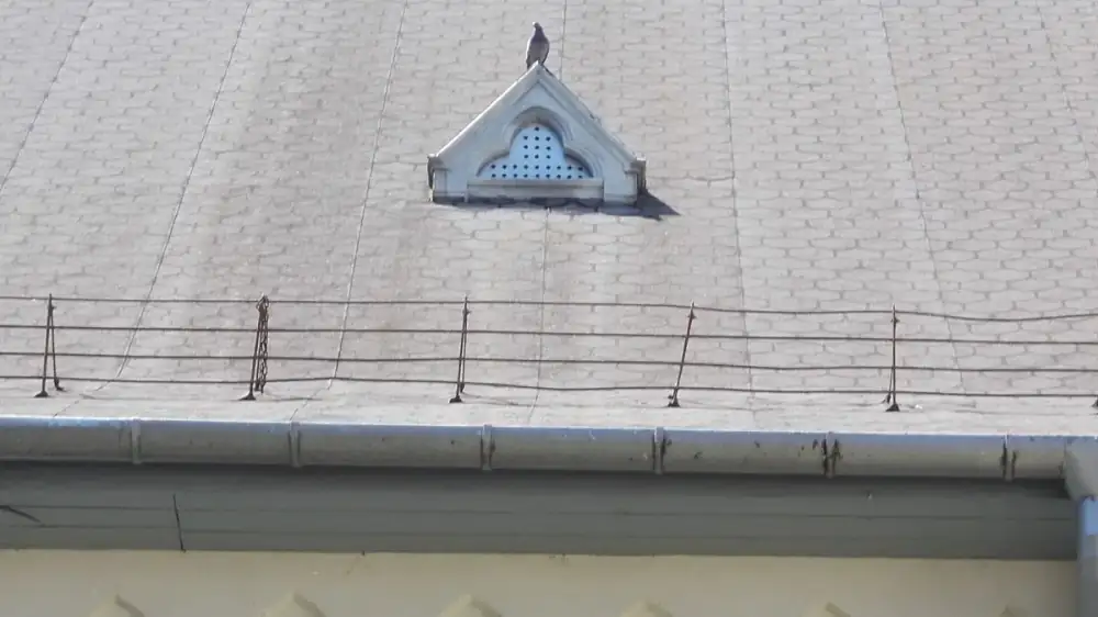 Gutter guard fastened along the roof edge above a home's shingles