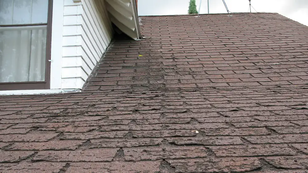 A gutter guard tucked under the bottom row of roof shingles at the eave