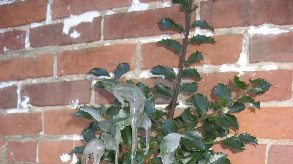 Heat cable zigzagged along a snow-covered roof edge and gutter