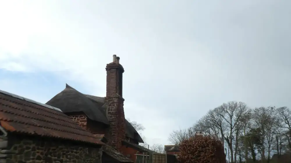 A homeowner looking up at a chimney with binoculars from the yard