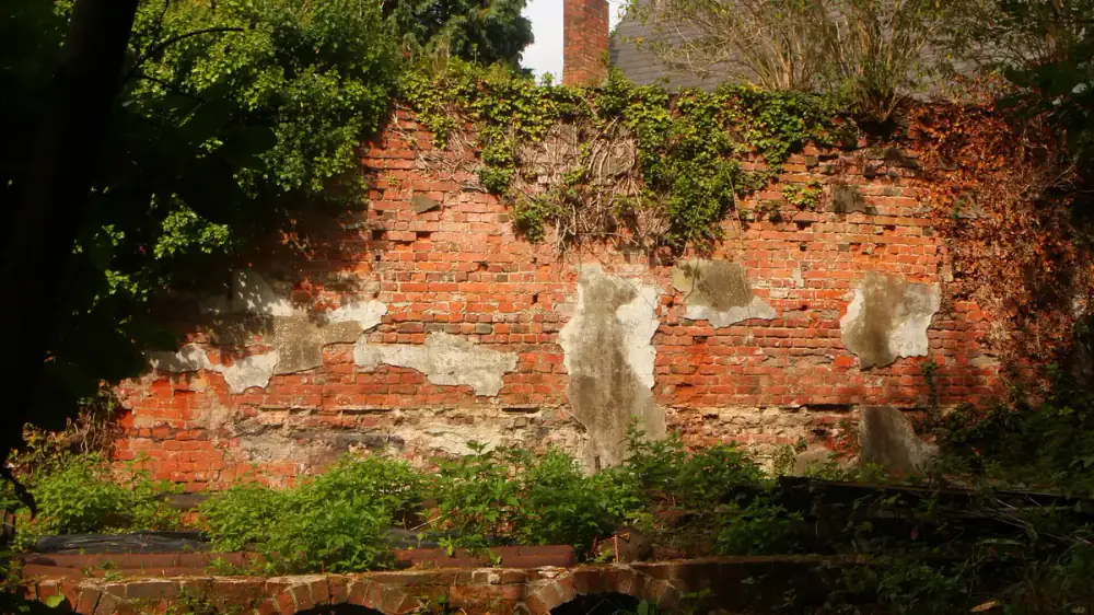 Foundation shrubs being shielded and watered before exterior cleaning