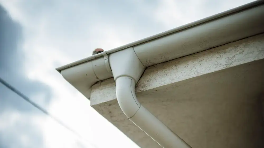 A homeowner inspecting roofline gutters from ground level