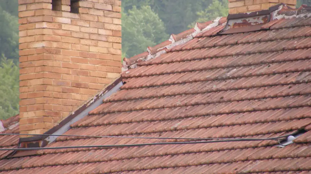A person standing in a yard using binoculars to look up at a masonry chimney on a house roof