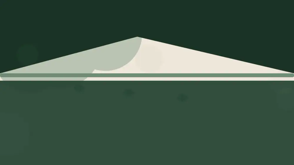 A home's roofline with mixed pine and broadleaf trees overhead
