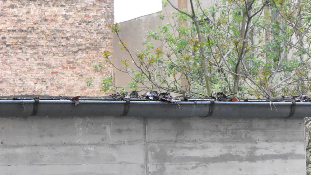 Rainwater spilling over the front edge of a clogged home gutter