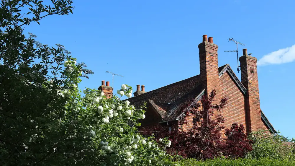 A person in a yard using binoculars to look up at a masonry chimney