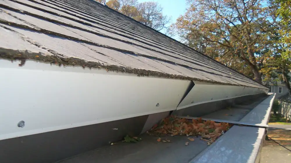 Standing water pooled in a section of home gutter after rain