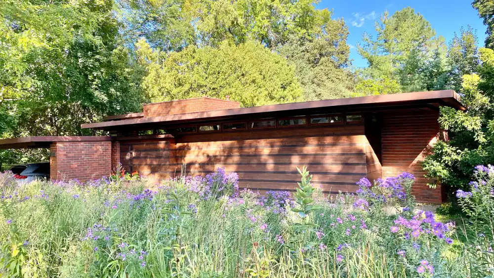 A home's siding and roof edge in bright summer light seen from the yard